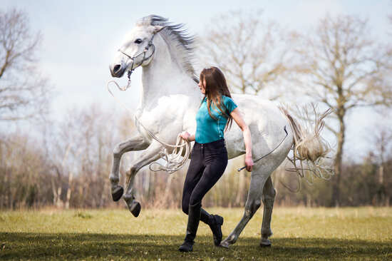 Markenvorstellung F.R.A. - Freedom Riding Articles 